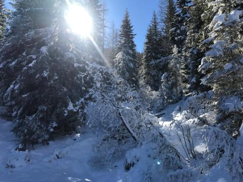 Almhaus & Almchalet Flattnitz durante el invierno