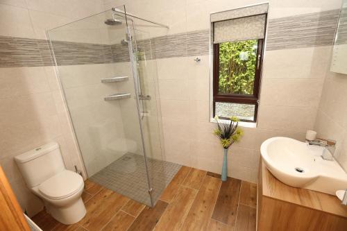 a bathroom with a shower and a toilet and a sink at Pebble Beach Holiday Home in Ballinphull
