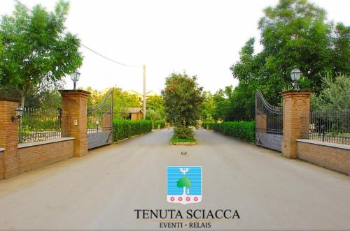 Gambar di galeri bagi Tenuta Sciacca di Falciano del Massico