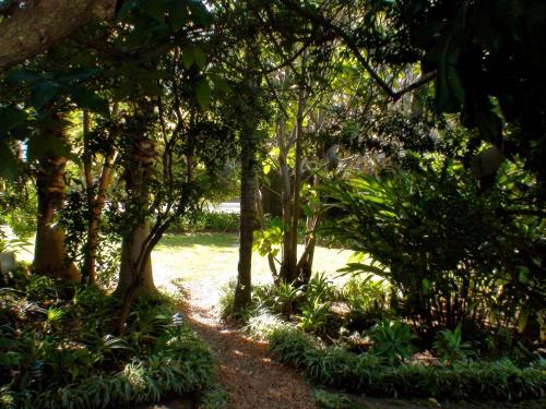 a path through a garden with trees and plants at Polokwane Place in Polokwane