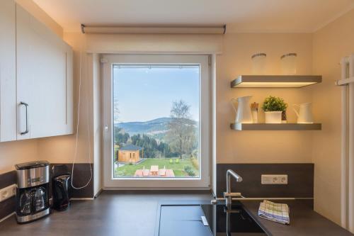 a kitchen with a window with a view of a house at Landhäuser Bergwiese - Ferienhaus Höhenblick in Sankt Andreasberg