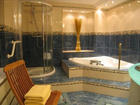 a bathroom with a tub and a shower and a sink at La Roseraie Biebler in Jungholtz