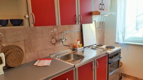 uma pequena cozinha com um lavatório e um fogão em Apartment Lavanda em Fažana
