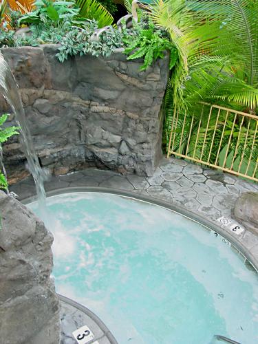 a swimming pool with a waterfall in a garden at Wildwood Inn in Florence