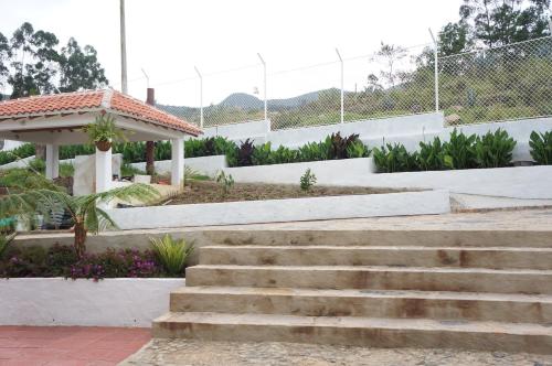 a set of concrete steps leading to a garden at San Benito Hotel in Tibasosa