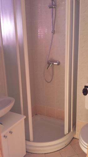 La salle de bains est pourvue d'une cabine de douche et de toilettes. dans l'établissement Apartma TR 43, à Moravske Toplice