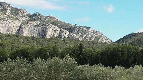 a mountain in the distance with trees in front of it at Aubade en Luberon in Cavaillon
