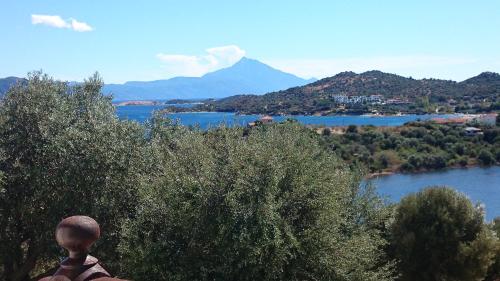 Gallery image of Studios Erotokritos in Ammouliani