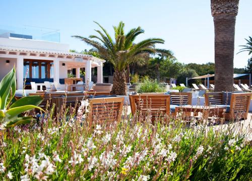 a patio with chairs and palm trees and flowers at Gecko Hotel & Beach Club in Playa Migjorn