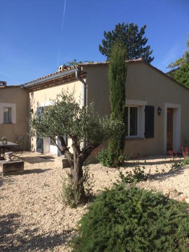 a house with a tree in front of it at "Le Vent d'Étoile" B&B and Guesthouses in Mormoiron