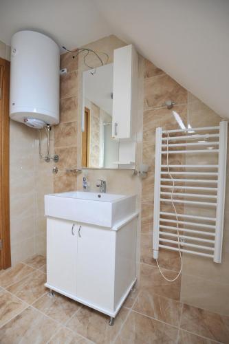 a bathroom with a white sink and a mirror at Dobricin Konak Apartmani in Kopaonik