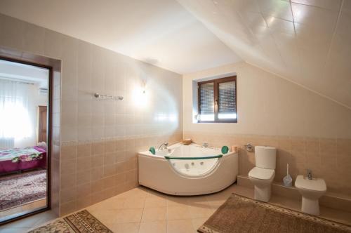 Gallery image of Magnificent Villa in Chişinău