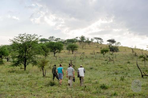a group of people walking through a field at Serengeti Serena Safari Lodge in Serengeti National Park