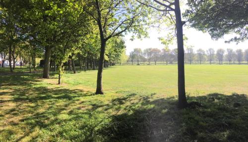 a park with trees and a field of grass at Pia House in Dublin
