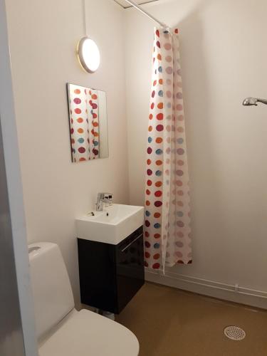 a bathroom with a toilet sink and a shower curtain at Motoristen in Vara