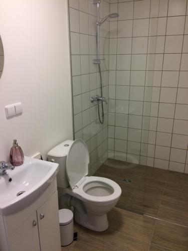 Ванная комната в Apartment Palanga