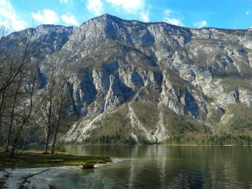 a mountain with a lake in front of it at Garden Apartments Maria in Bled
