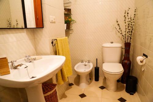 a bathroom with a sink and a toilet at Casa Las Nieves in Arcos de la Frontera