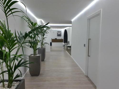 Gambar di galeri bagi Urban Apart - Azores di Ponta Delgada