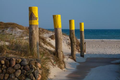 a row of wooden posts on a beach at Strandhotel Bene in Burgtiefe auf Fehmarn 