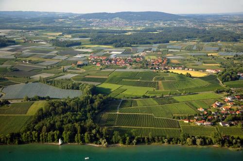 an aerial view of a village and a lake at Appartementhotel Röhrenbach in Immenstaad am Bodensee