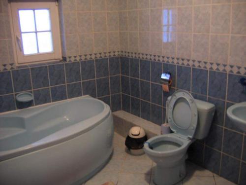 a bathroom with a toilet and a tub and a sink at Vila Vlad in Târgu Neamț