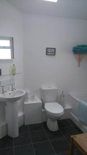 a white bathroom with a toilet and a sink at Brynawel in Saint Dogmaels