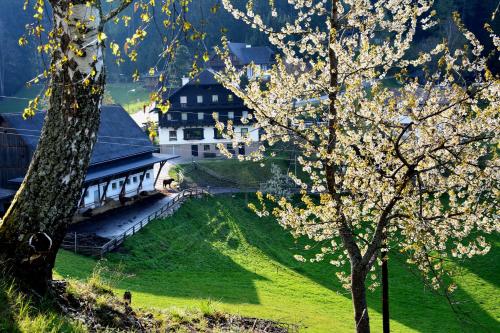 a large house on a hill with flowering trees at Frühstückspension Ochnerbauer in Kindberg