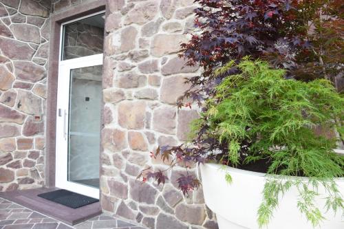 Un jardín fuera de Spazio42