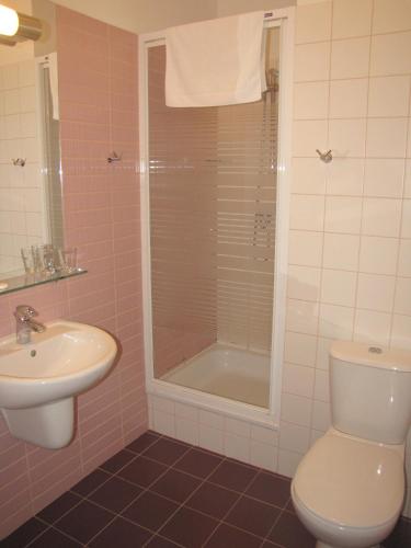 a bathroom with a shower and a toilet and a sink at Biały Pałac Palczew in Palczew
