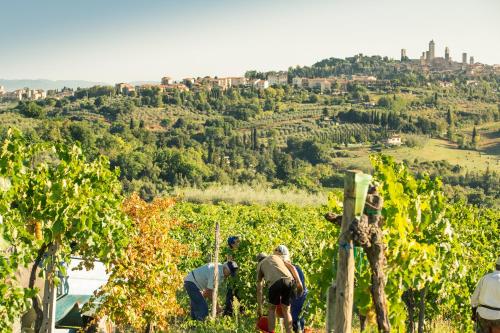 Paesaggio naturale nelle vicinanze dell'agriturismo