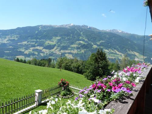 a bunch of flowers on a fence with mountains in the background at Haus Margret in Stummerberg