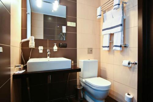 a bathroom with a white toilet and a sink at Villa Kristina in Truskavets