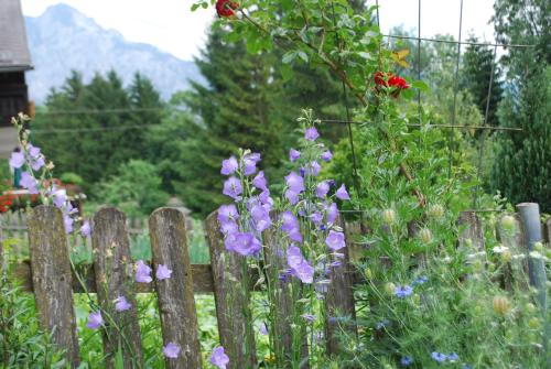 a wooden fence with purple and purple flowers at Bauernhof "Unteres Feld" in Altmünster
