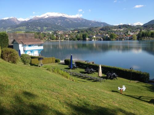 a view of a lake with mountains in the background at Waldstrand Berger in Seeboden