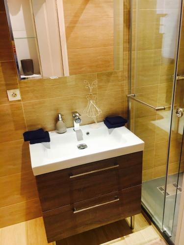 une salle de bain avec un lavabo et une douche dans l'établissement Studio Rue Massena, à Nice