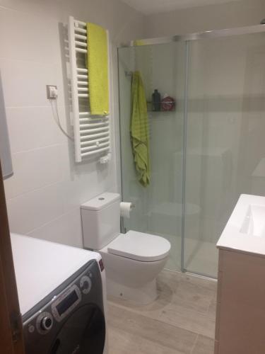 a bathroom with a shower and a toilet and a sink at Apartamento Abadia Teruel in Teruel