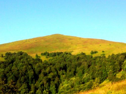 a hill with trees in the middle of a field at Dacha PODOBOVETS 127 in Podobovets