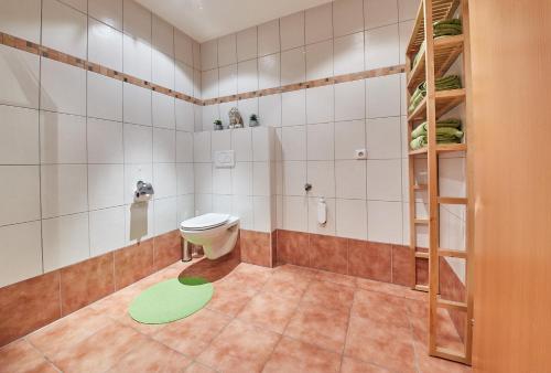 マイスホーフェンにあるM's Wood Appartementのバスルーム(トイレ付)、緑のラグ