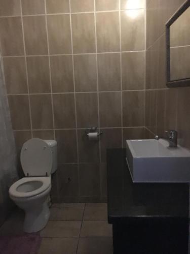 ケンプトンパークにあるTassili Lodgeのトイレと洗面台付きのバスルーム