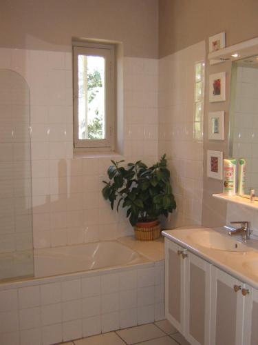 La salle de bains est pourvue d'une baignoire, d'un lavabo et d'une plante. dans l'établissement Le clos saint Genois, à Saint-Genis-Laval