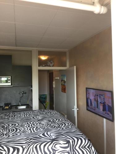 Fréjus Studio