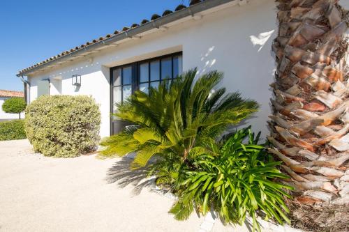 a white house with a palm tree in front of it at L'Ile sous le Vent in Sainte-Marie-de-Ré