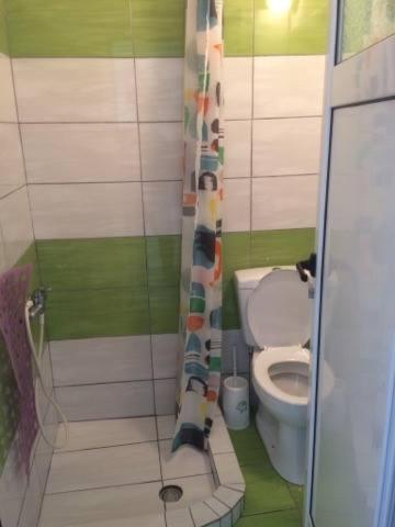 a bathroom with a toilet and a shower curtain at Orfeas Rooms in Vasiliki