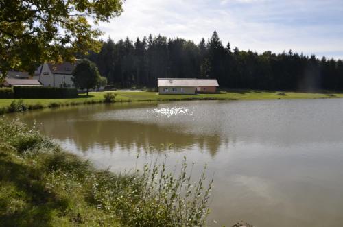a large lake with a barn in the background at Pension Zum Grünen Wald in Feuchtwangen