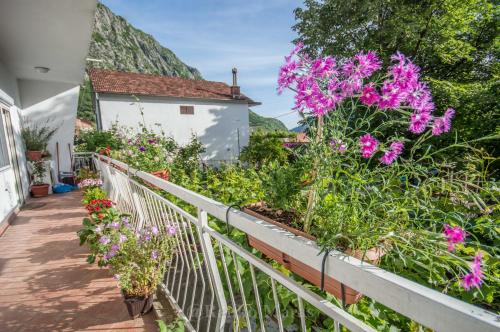 a balcony with flowers on a house at Ranko Apartments in Risan