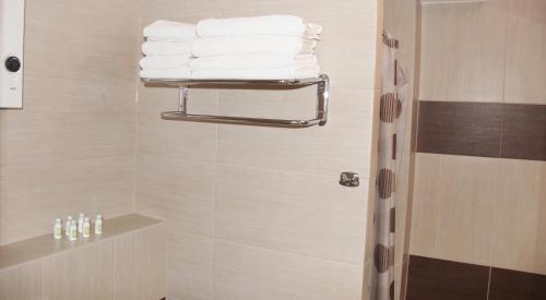 ミエンジズドロイェにあるSMM Apartament Gryf Morskie Okoのバスルーム(シャワー、タオル付)