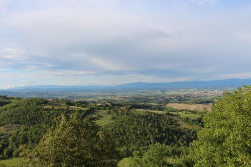 an aerial view of a valley with trees at Da Leo in Montefollonico