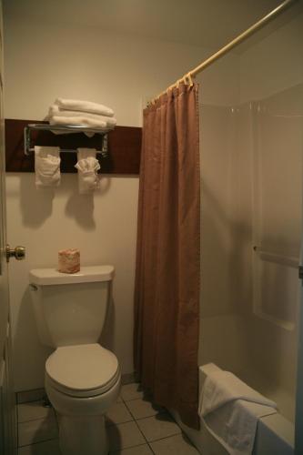 a bathroom with a toilet and a shower at Black Canyon Motel in Montrose