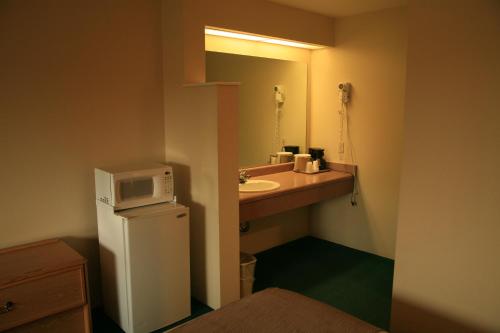 a small bathroom with a sink and a microwave on a refrigerator at Black Canyon Motel in Montrose